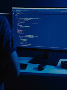 developer at computer