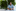 man sitting at a table with a closed laptop and headphones in front of a wall of plants