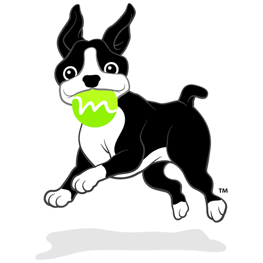 Momentum (mmntm)