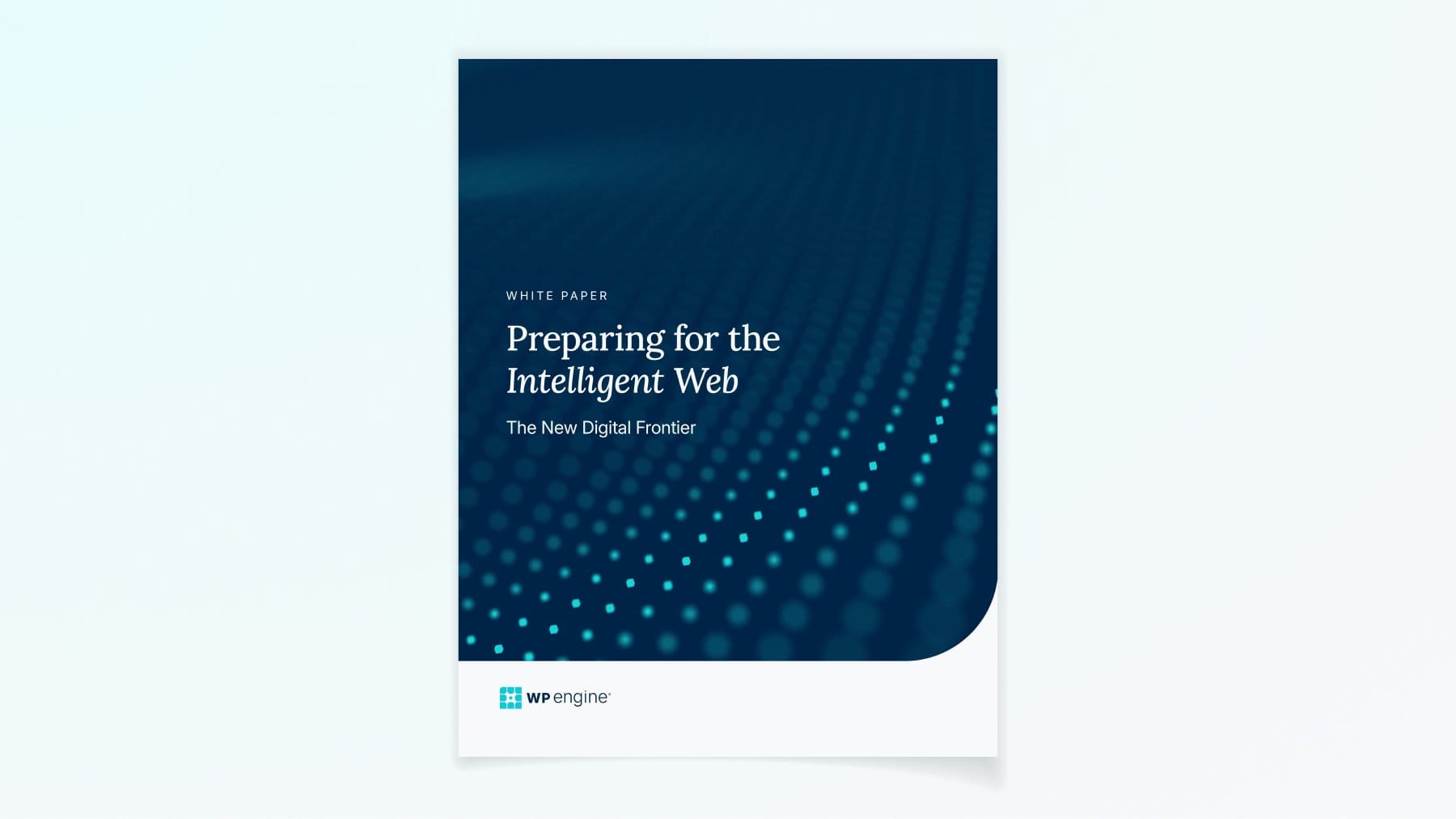 Preparing for the intelligent web - the new digital fontier