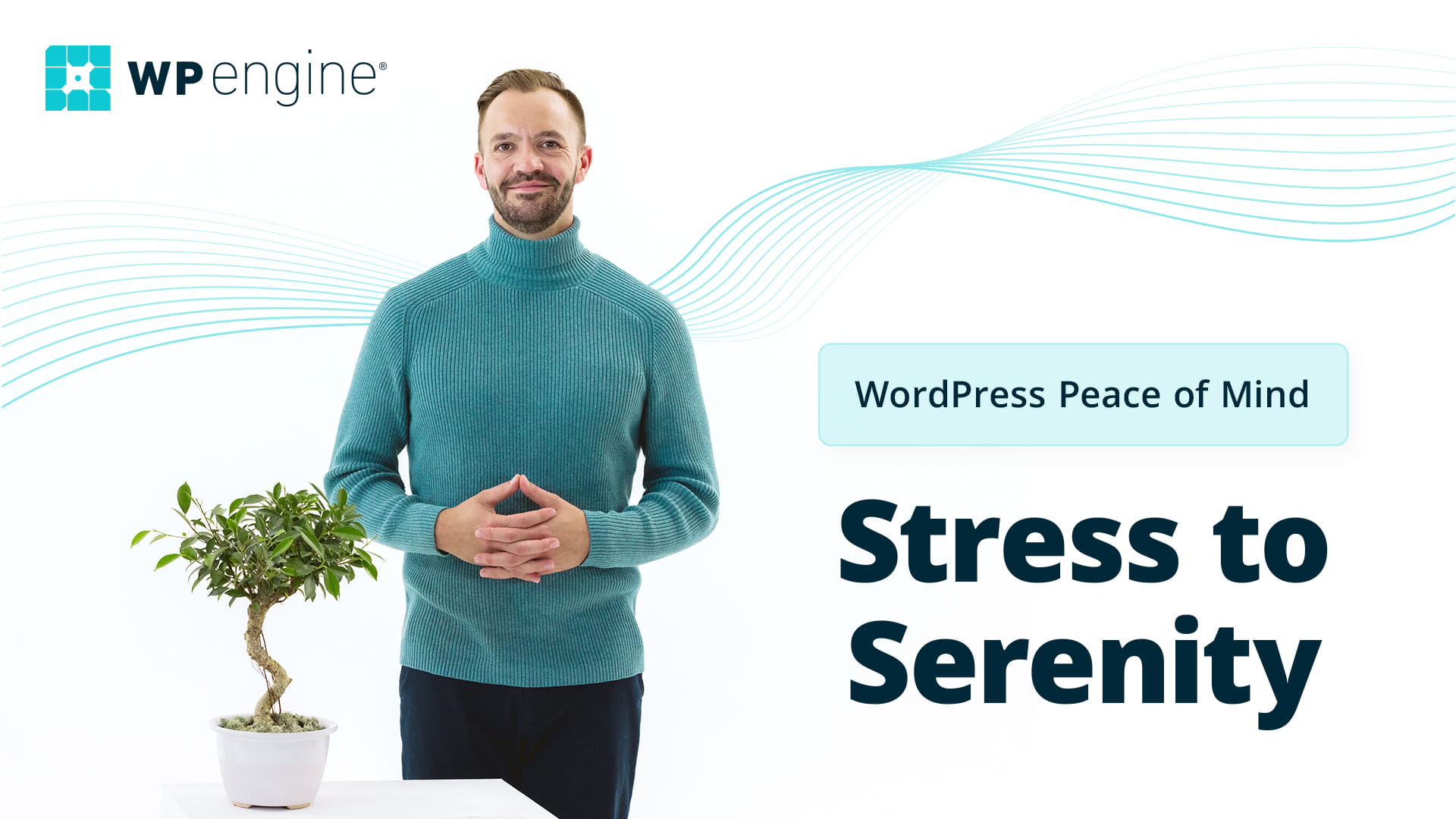 WP Engine WordPress Peace of Mind: Stress to Serenity