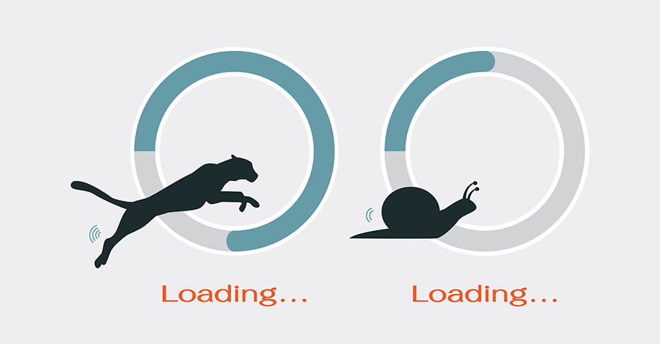 Make Your Site Blazing Fast: Part 1. Image shows two loading bars, one with a cheetah that is loading fast and the other with a snail that is loading slowly