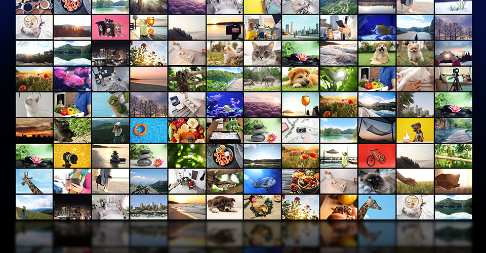 How to create a WordPress video gallery