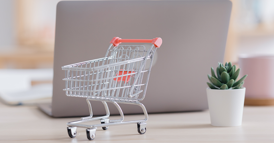 WordPress vs Magento (Adobe Commerce)