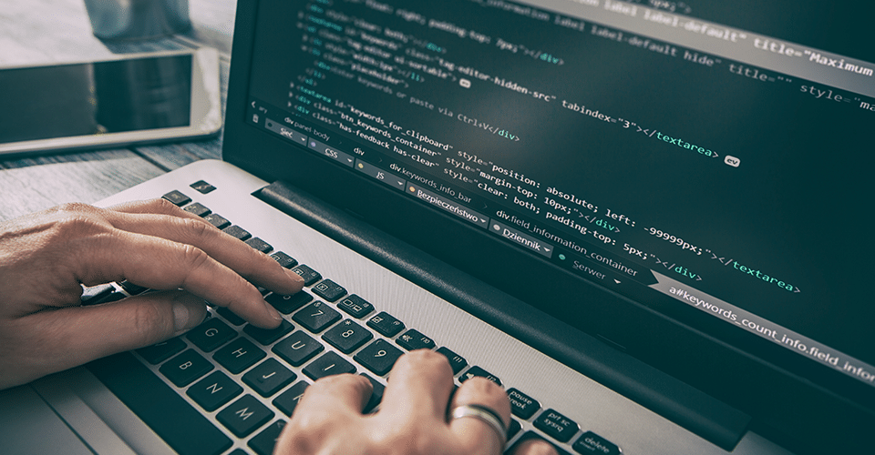 a person works on plugin customization in WordPress