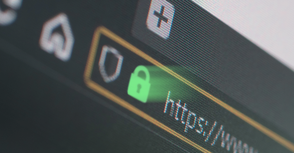 Ensuring cross-browser compatibility on a WordPress website.