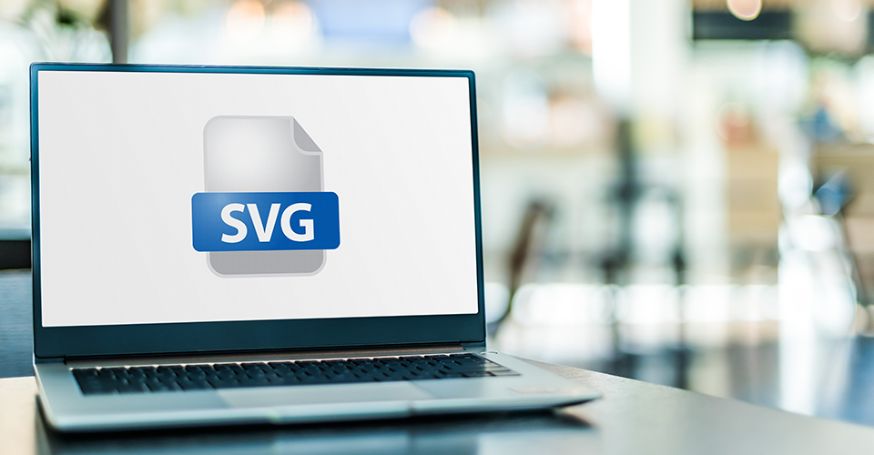 Wordpress Allow Svg