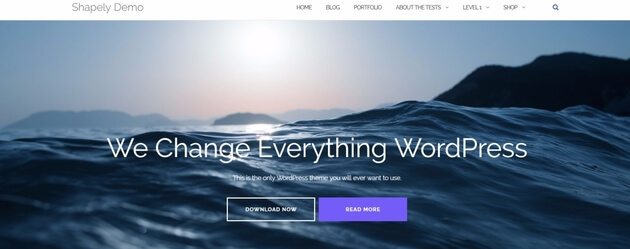 Shapely video theme for wordpress