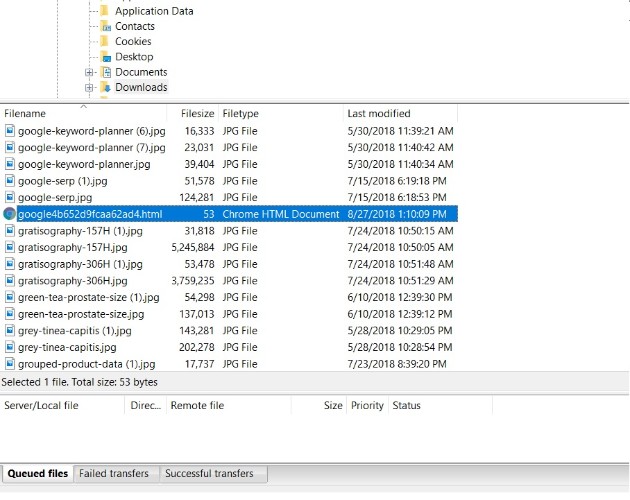 how to verify wordpress site with google