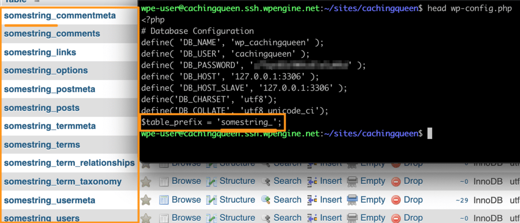 How Many Table in a Default WordPress: Unveiling the Essentials