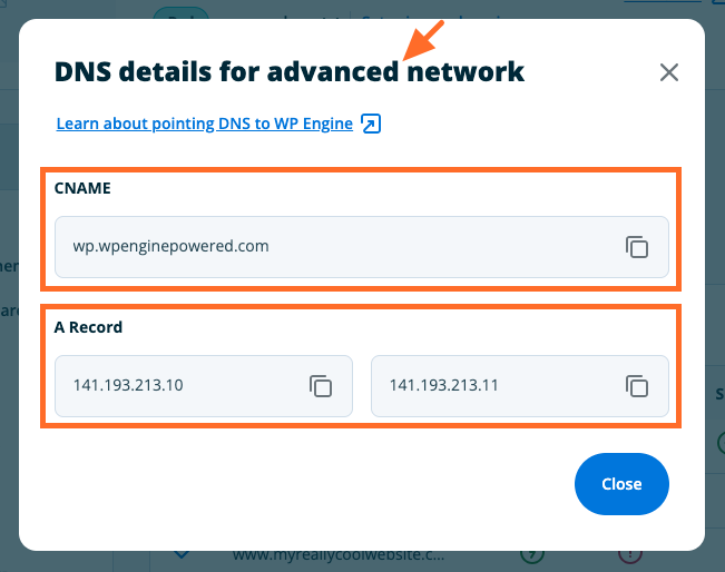 DNS details popup
