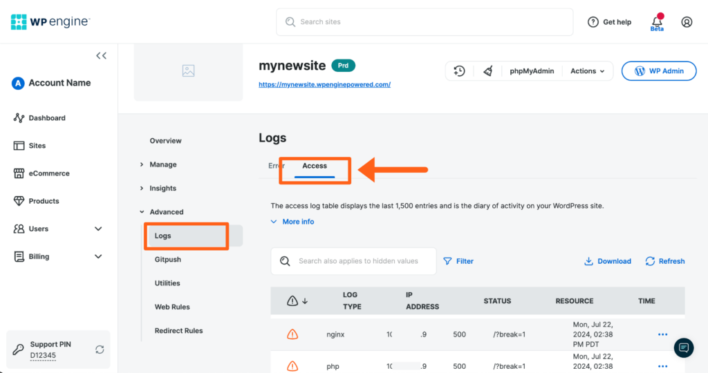 Screenshot of an environment's Logs page in the WP Engine User Portal showing the Access Logs tab