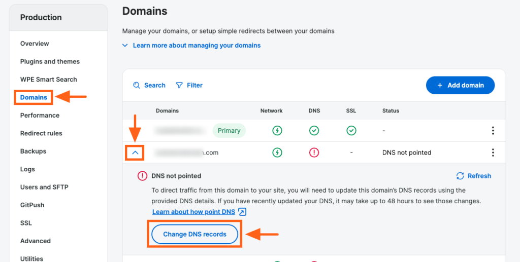 Screenshot of the Domains page in the WP Engine User Portal showing the Change DNS records button