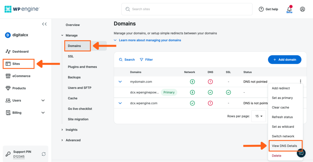 Screenshot of the Domains page in the WP Engine User Portal showing the button to View DNS Details