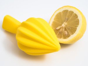 Citrus Juicer from the Thingiverse