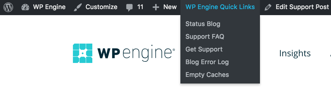 wp engine support