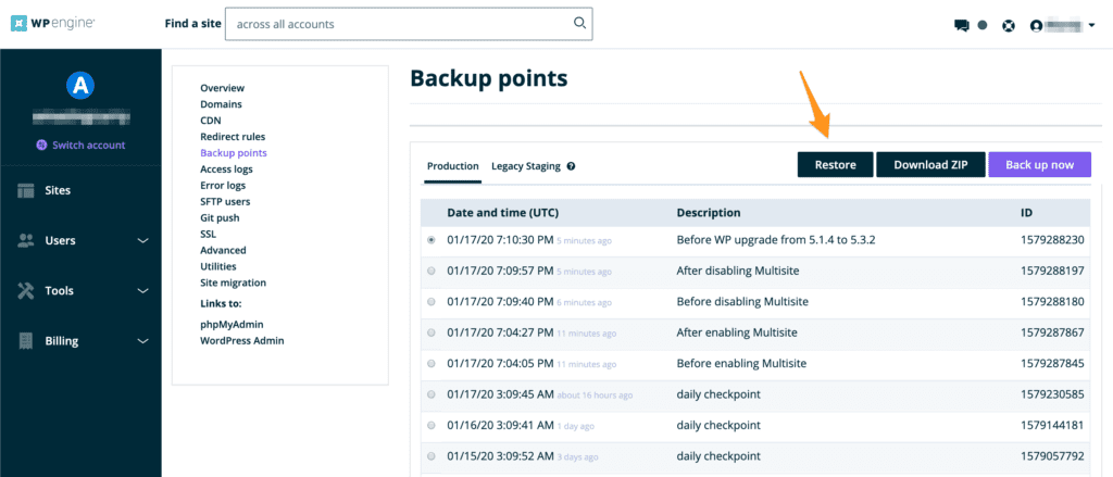 WP Engine hosting backup or recovery