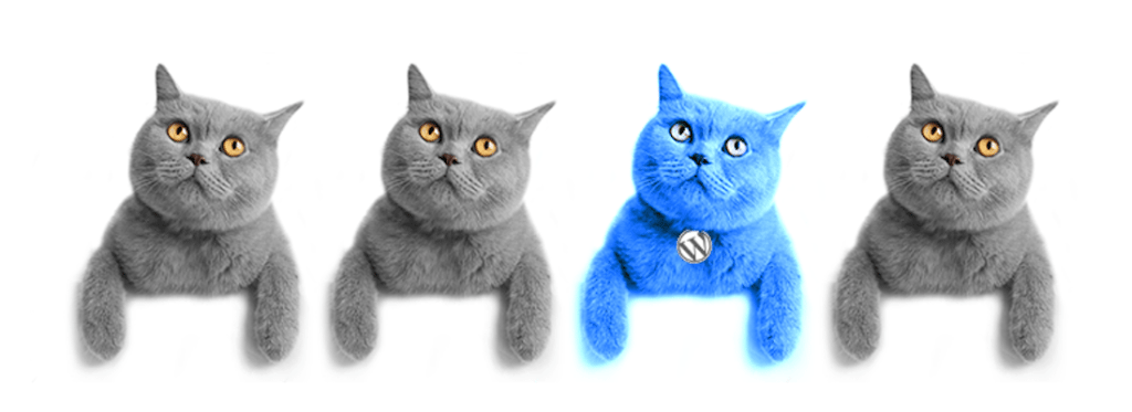 wordpress-cats2