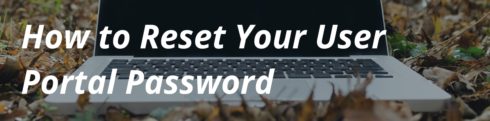 how-to-reset-your-user-portal-password-wp-engine