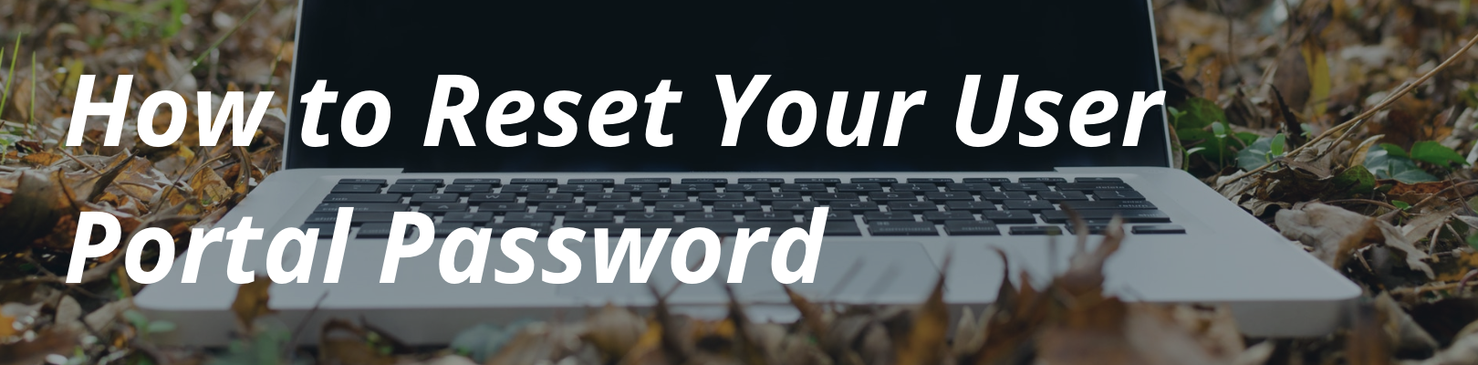 How To Reset Your User Portal Password WP Engine How To Reset Your User Portal Password WP Engine
