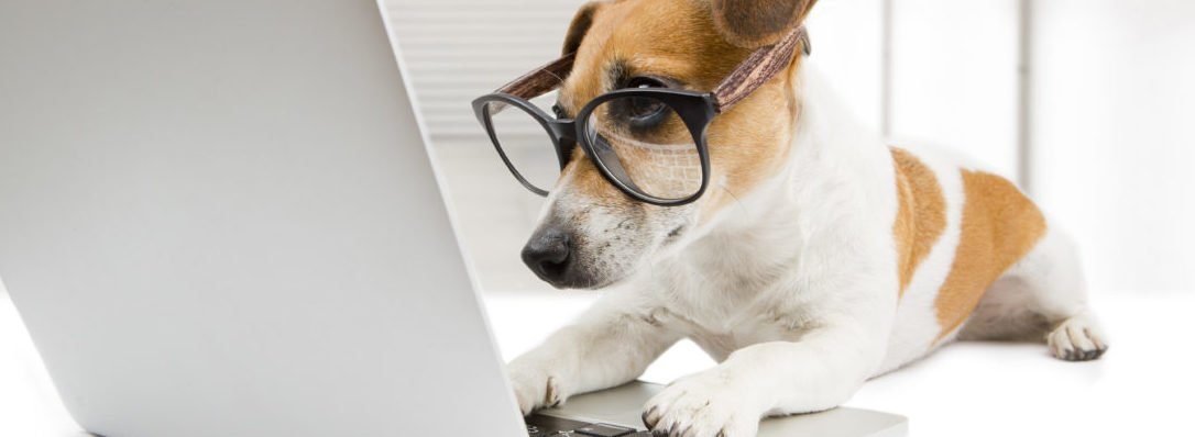 premium-wordpress-plugins