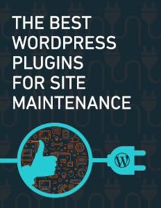 The Best WordPress Plugins for Site Maintenance