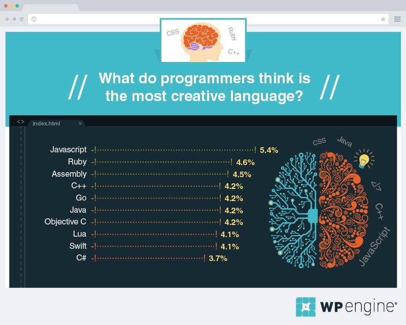 what do programmers think is the most creative language