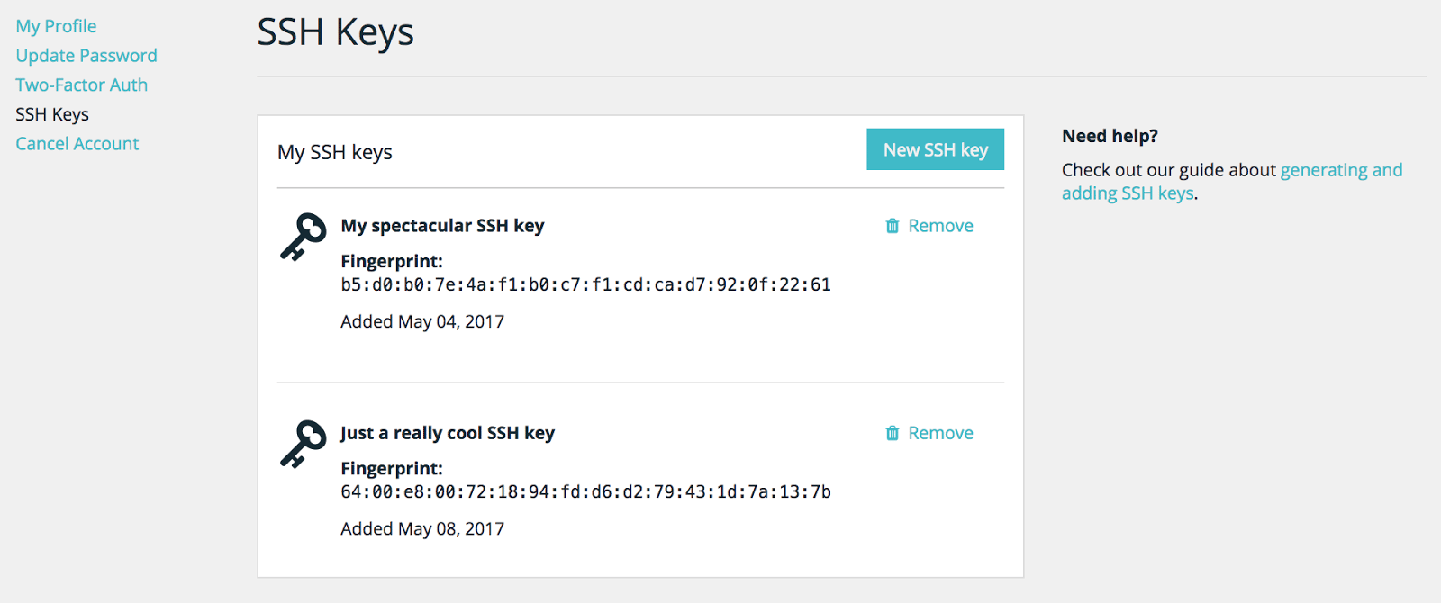 ssh shell access