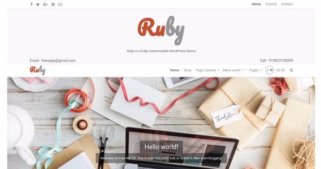 Ruby wordpress theme for videos