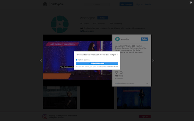 how to embed instagram videos in wordpress