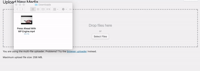 upload self-hosted video in wordpress