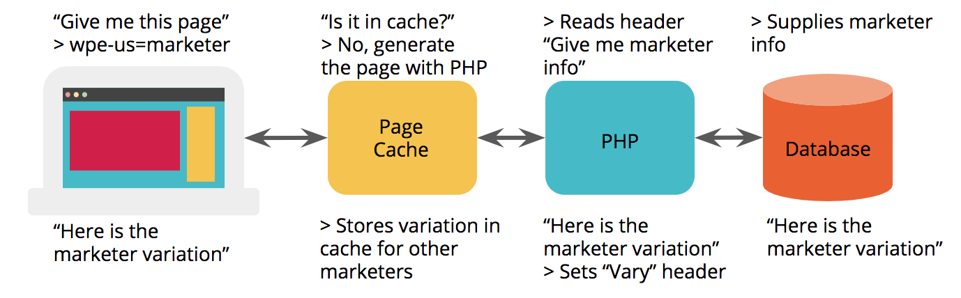 /image/cache/catalog/produ