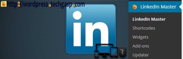 add linkedin plugin to wordpress