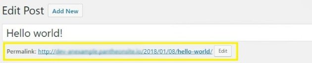 how make a custom url for wordpress