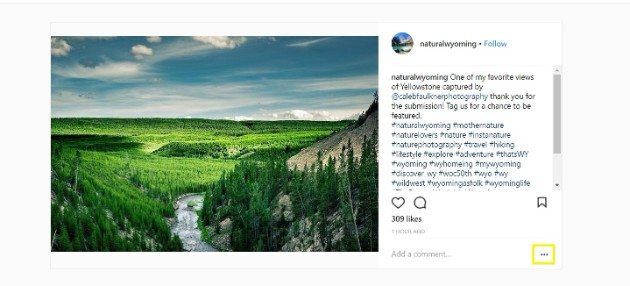 Step-by-step guide on embedding an Instagram post to WordPress effectively
