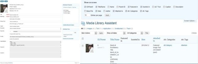 media library management