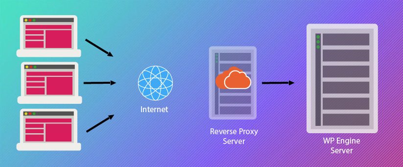 What is a Reverse Proxy Server? Learn How they Protect You