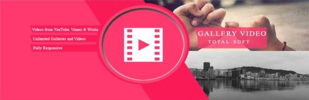 wordpress video themes