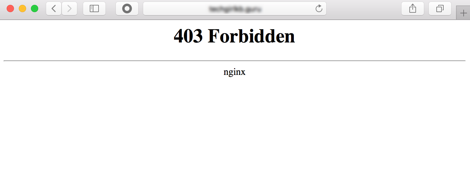 What Is a 403 Forbidden Error (and How Can I Fix It)?