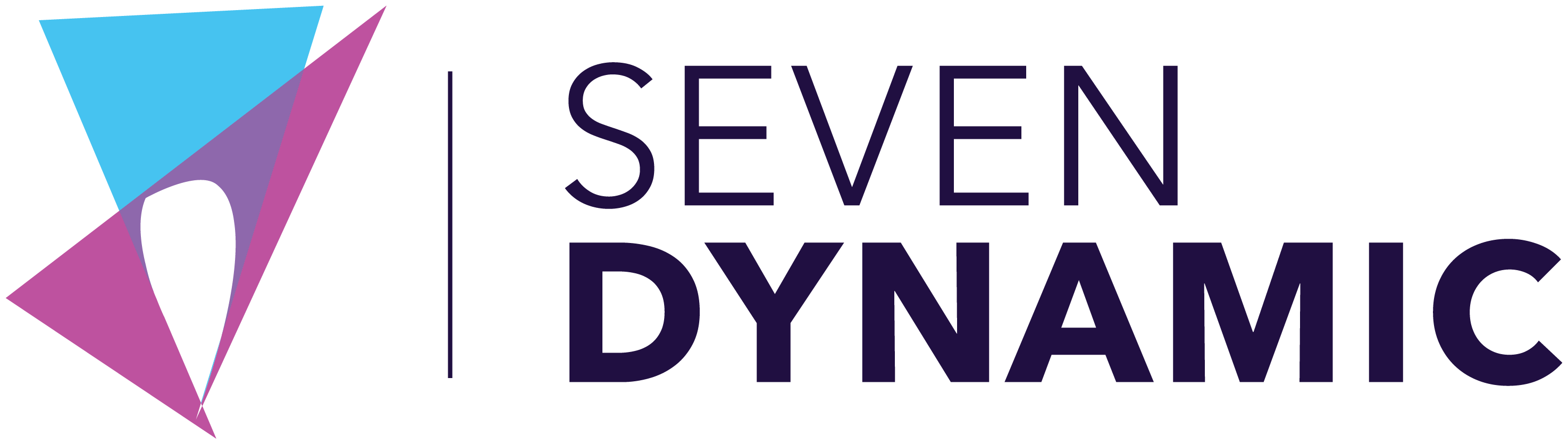 Seven Dynamic - Logo - White Background