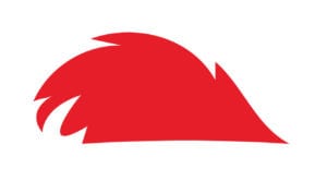Hedgehog Digital | Cornwall Logo