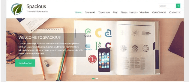 wordpress themes