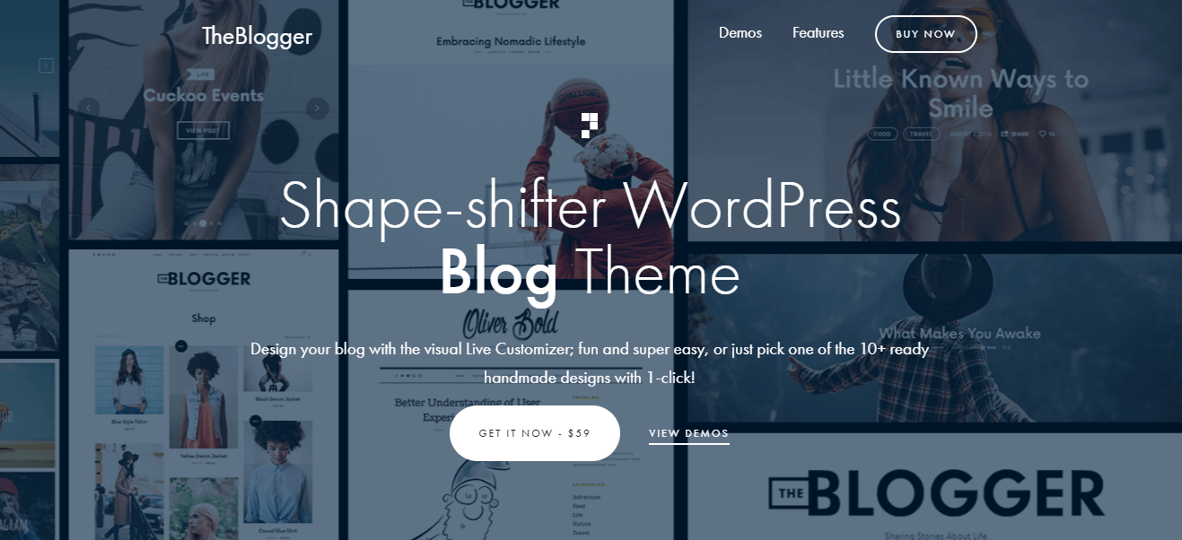 the blogger wordpress theme