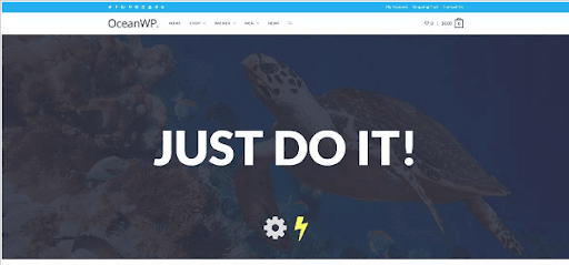 ocean wp theme