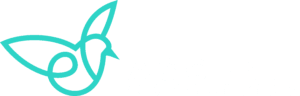 Ascenti Consulting Logo