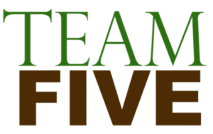 Team Five Logo