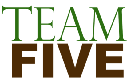 Team Five Logo