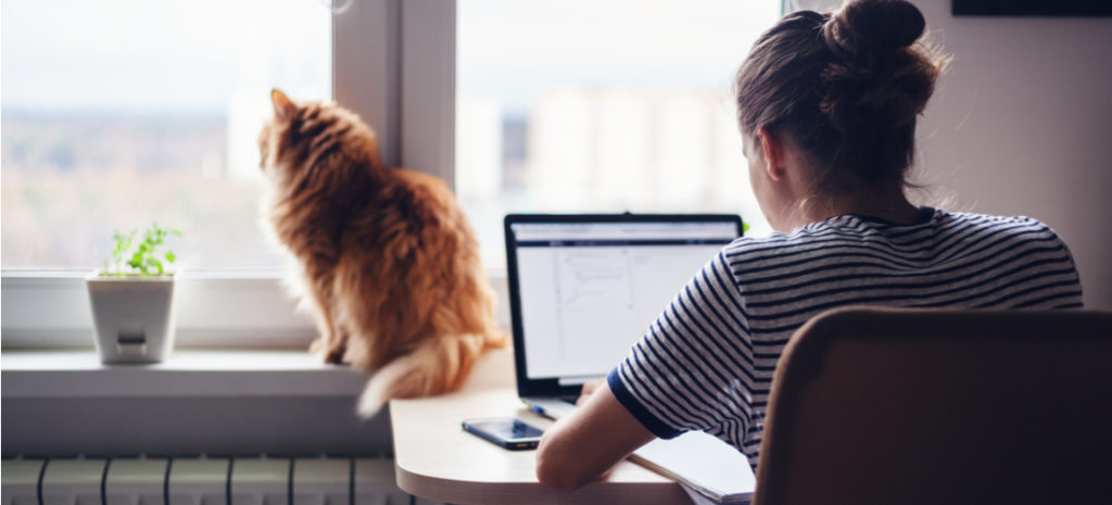 woman working on laptop with cat looking out window