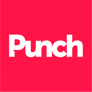 Punch Digital Strategies, Inc Logo