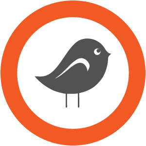 Birdhouse Web Design Logo